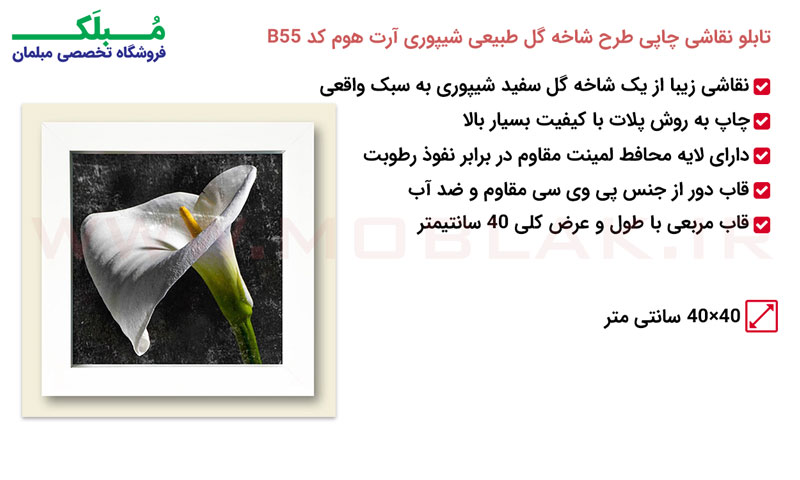 مشخصات  تابلو نقاشی چاپی طرح شاخه گل طبیعی شیپوری آرت هوم کد B55